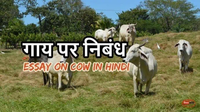 cow essay in hindi,gaay-par-nibandh,gaumata-par-nibandh,essay-cow